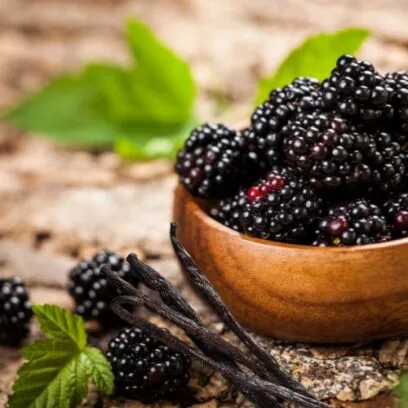 Savon framboise bleue et vanille