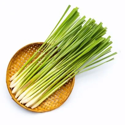 Savon lemongrass